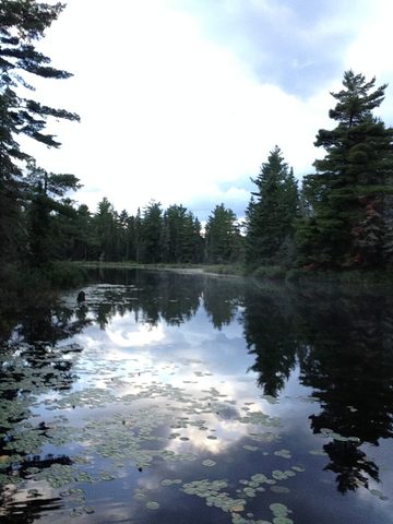 Photo from Canoeing, Temagami
