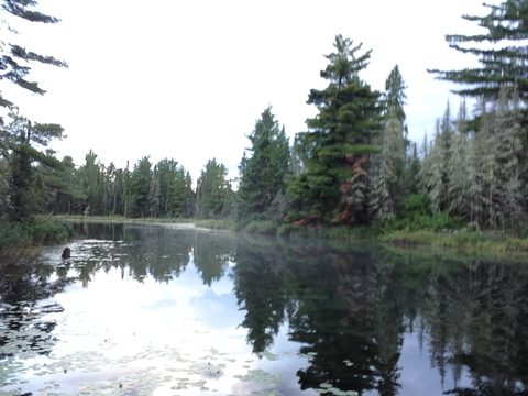 Photo from Canoeing, Temagami
