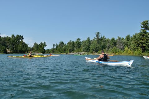 Photo from Tyro (Beginner) Kayaking Franklin Island...because weekends are for paddling!