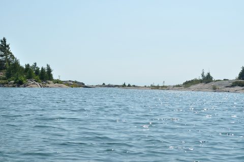 Photo from Tyro (Beginner) Kayaking Franklin Island...because weekends are for paddling!