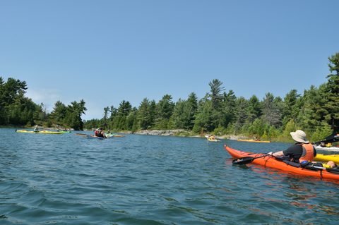 Photo from Tyro (Beginner) Kayaking Franklin Island...because weekends are for paddling!
