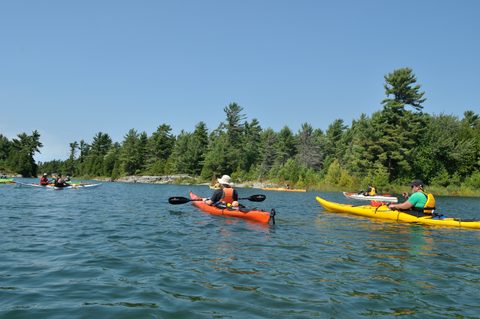 Photo from Tyro (Beginner) Kayaking Franklin Island...because weekends are for paddling!