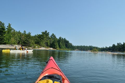 Photo from Tyro (Beginner) Kayaking Franklin Island...because weekends are for paddling!