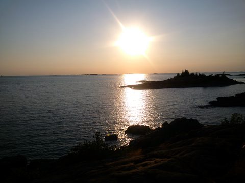 Photo from Tyro (Beginner) Kayaking Franklin Island...because weekends are for paddling!