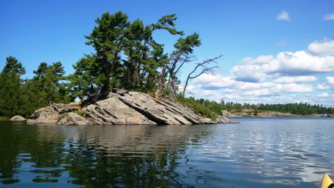 Photo from Tyro (Beginner) Kayaking Franklin Island...because weekends are for paddling!