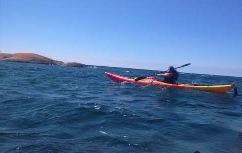 Photo from Tyro (Beginner) Kayaking Franklin Island...because weekends are for paddling!