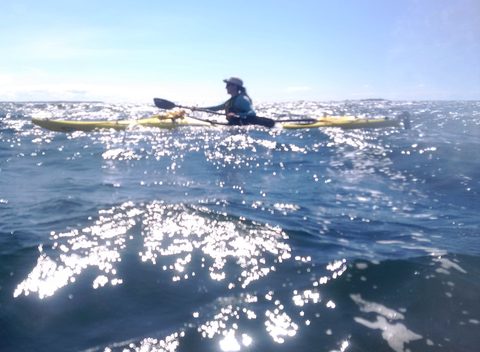 Photo from Tyro (Beginner) Kayaking Franklin Island...because weekends are for paddling!