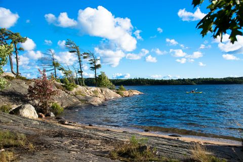 Photo from Tyro (Beginner) Kayaking Franklin Island...because weekends are for paddling!