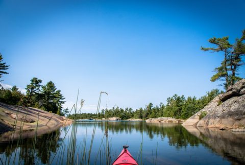 Photo from Tyro (Beginner) Kayaking Franklin Island...because weekends are for paddling!