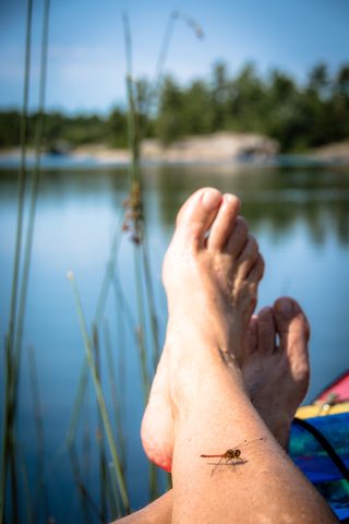 Photo from Tyro (Beginner) Kayaking Franklin Island...because weekends are for paddling!