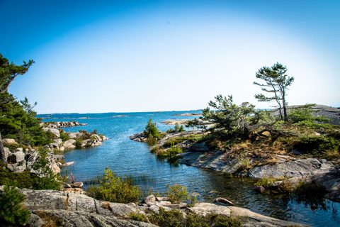 Photo from Tyro (Beginner) Kayaking Franklin Island...because weekends are for paddling!