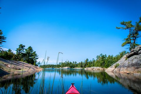 Photo from Tyro (Beginner) Kayaking Franklin Island...because weekends are for paddling!