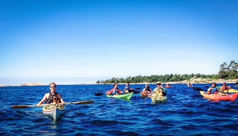 Photo from Tyro (Beginner) Kayaking Franklin Island...because weekends are for paddling!