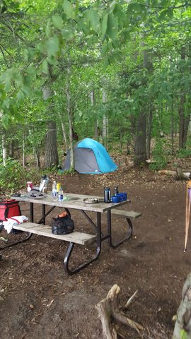 Photo from Canoe tripping a the Massassauga Provincial park
