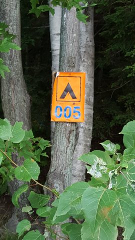 Photo from Canoe tripping a the Massassauga Provincial park