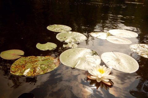 Photo from Canoeing, Lady Evelyn Lake, Temagami