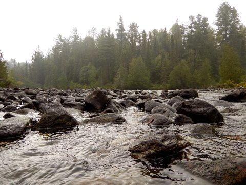 Photo from Canoeing, Lady Evelyn Lake, Temagami