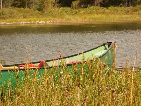 Photo from Canoeing, Lady Evelyn Lake, Temagami