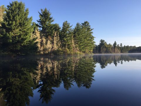 Photo from Canoeing, Lady Evelyn Lake, Temagami
