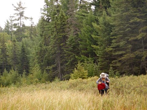 Photo from Canoeing, Lady Evelyn Lake, Temagami