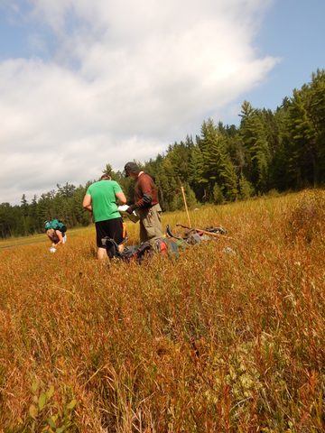 Photo from Canoeing, Lady Evelyn Lake, Temagami