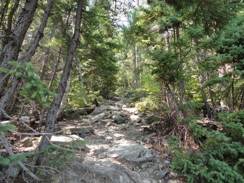 Photo from Canoeing, Lady Evelyn Lake, Temagami