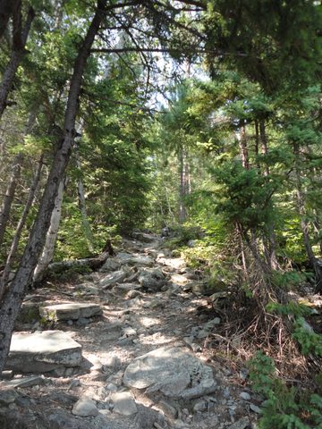 Photo from Canoeing, Lady Evelyn Lake, Temagami
