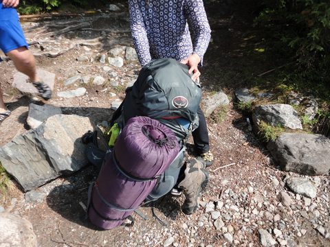 Photo from Canoeing, Lady Evelyn Lake, Temagami