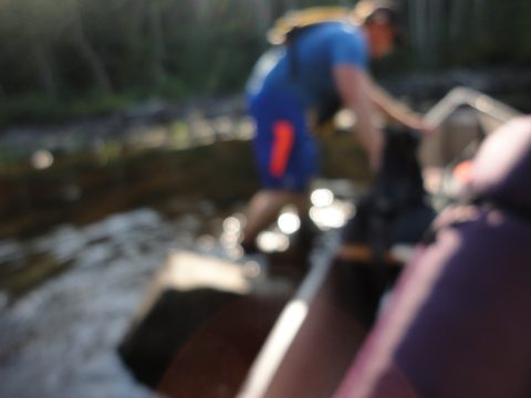 Photo from Canoeing, Lady Evelyn Lake, Temagami