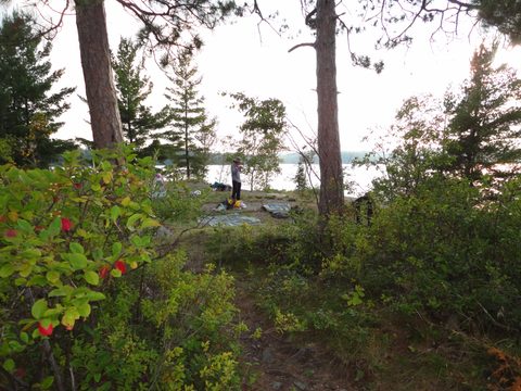 Photo from Canoeing, Lady Evelyn Lake, Temagami