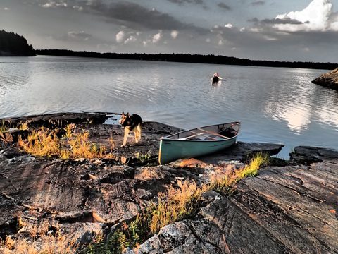 Photo from Canoeing, Lady Evelyn Lake, Temagami