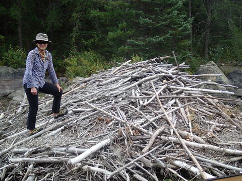 Photo from Canoeing, Lady Evelyn Lake, Temagami