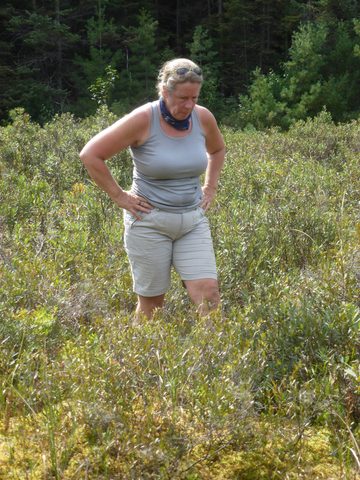 Photo from Canoeing, Lady Evelyn Lake, Temagami