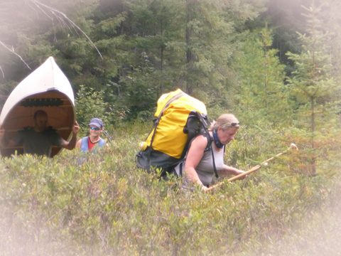 Photo from Canoeing, Lady Evelyn Lake, Temagami