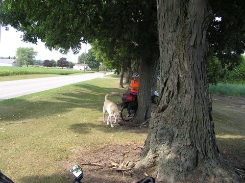 Photo from Bike Camping, Port Burwell, Lake Erie