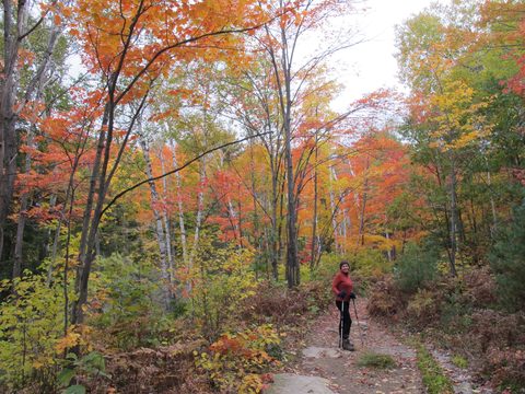 Photo from 2nd Annual Thanksgiving in Killarney- Canoeing & Hiking