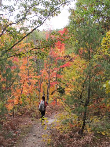Photo from 2nd Annual Thanksgiving in Killarney- Canoeing & Hiking