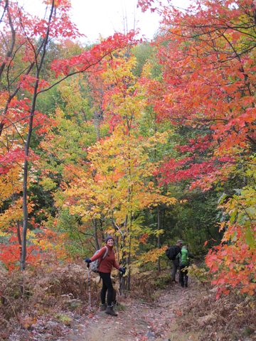 Photo from 2nd Annual Thanksgiving in Killarney- Canoeing & Hiking