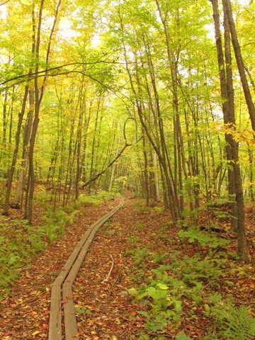 Photo from 2nd Annual Thanksgiving in Killarney- Canoeing & Hiking