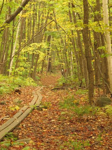 Photo from 2nd Annual Thanksgiving in Killarney- Canoeing & Hiking