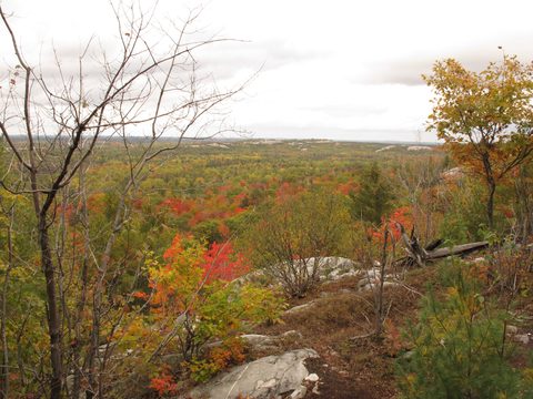 Photo from 2nd Annual Thanksgiving in Killarney- Canoeing & Hiking