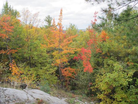Photo from 2nd Annual Thanksgiving in Killarney- Canoeing & Hiking