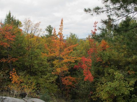 Photo from 2nd Annual Thanksgiving in Killarney- Canoeing & Hiking