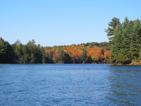 Photo from 2nd Annual Thanksgiving in Killarney- Canoeing & Hiking