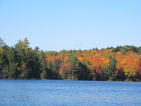 Photo from 2nd Annual Thanksgiving in Killarney- Canoeing & Hiking