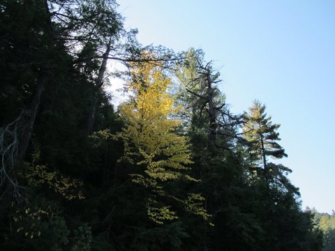 Photo from 2nd Annual Thanksgiving in Killarney- Canoeing & Hiking