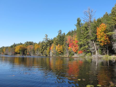 Photo from 2nd Annual Thanksgiving in Killarney- Canoeing & Hiking
