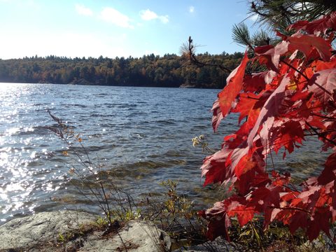 Photo from 2nd Annual Thanksgiving in Killarney- Canoeing & Hiking