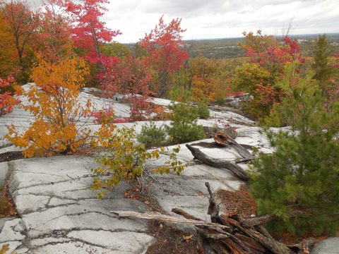 Photo from 2nd Annual Thanksgiving in Killarney- Canoeing & Hiking