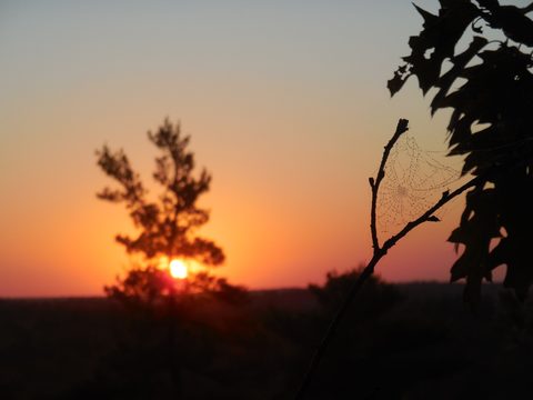 sunrise on the summit behind the lodge